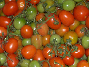 tomatoes